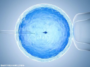 高龄二胎